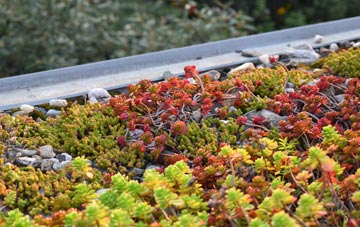 the cost of Queensway Old Dalby green roof installation