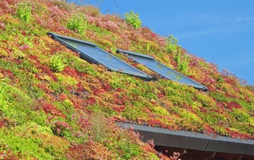 Queensway Old Dalby living roof systems