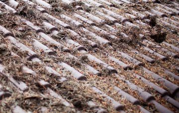 Queensway Old Dalby roof cleaning companies